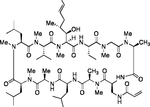 ampola-mab-long-amp-force-13ml-mab