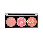 paleta-de-blush-zanphy