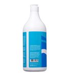condicionador-lowell-mirtilo-1l