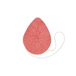 esponja-facial-ricca-konjac