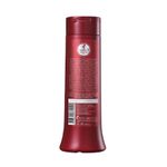 haskell-bendito-seja-condicionador-300ml