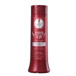 haskell-bendito-seja-condicionador-300ml