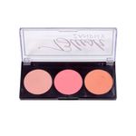paleta-de-blush-zanphy