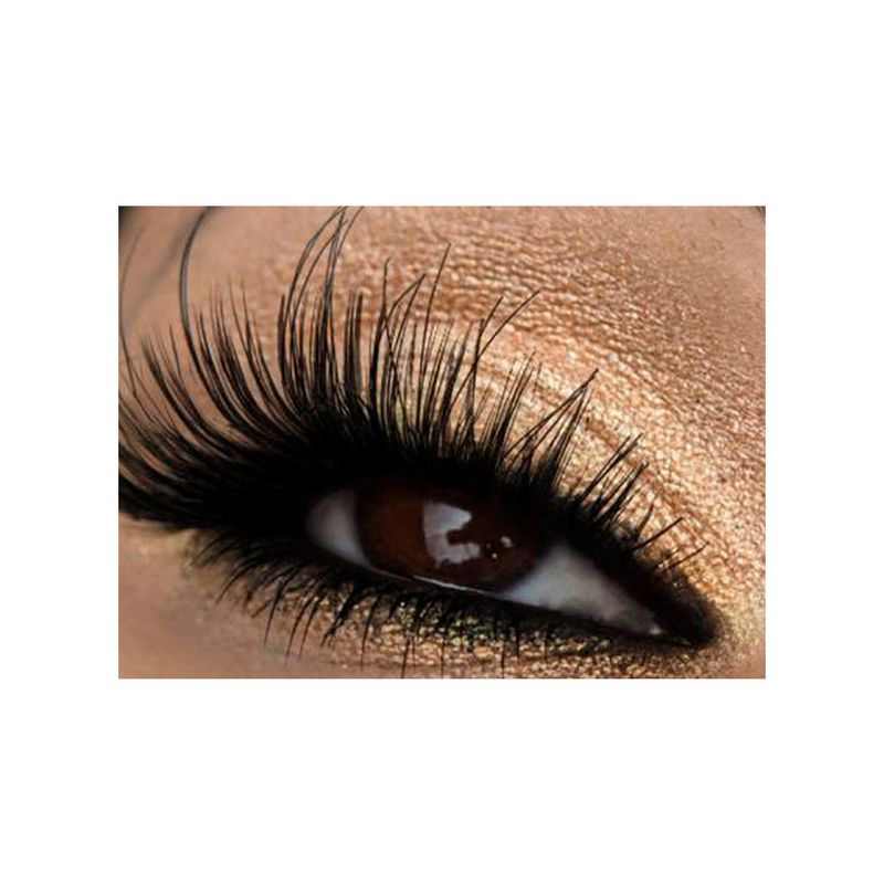 sombra-asa-borboleta-bitarra-eternity-bitarra-beauty