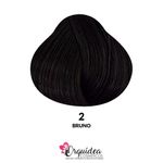 tintura-capilar-alfaparf-evolution-1-0-60ml