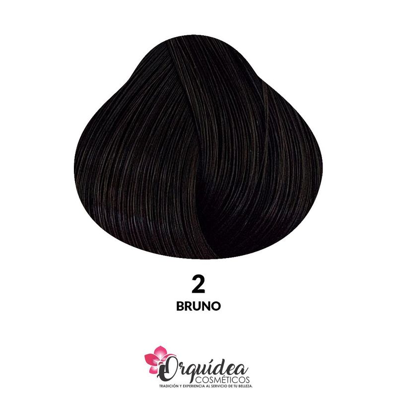 tintura-capilar-alfaparf-evolution-1-0-60ml