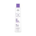 sh-bc-performance-frizz-away-250ml-schwarzkopf