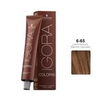 coloracao-igora-color10-6-65-louro-escuro-marrom-dourado-60g