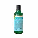 condicionador-salon-line-maria-natureza-oleos-milenares-350ml-