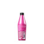 shampoo-redken-color-extend-magnetics-300ml