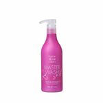 creme-de-limpeza-le-clique-master-hair-colors-wash-eco-450ml