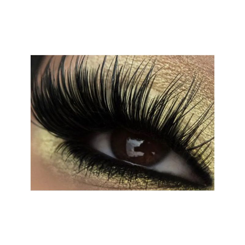 sombra-asa-borboleta-bitarra-pg-10-bitarra-beauty