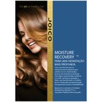 leave-in-joico-moisture-recovery-moisturizer-300ml