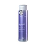 shampoo-matizador-joico-blonde-life-violet-smart-release-300ml