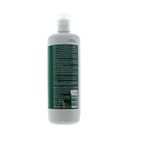 locao-ativadora-essensity-5-5-1l