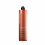 shampo-lowell-blinda-cor-pro-1000ml-