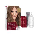 kit-coloracao-creme-amend-magnific-color-7-3-louro-avela