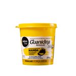 guanidina-salon-line-oleo-de-semente-de-manga-400g