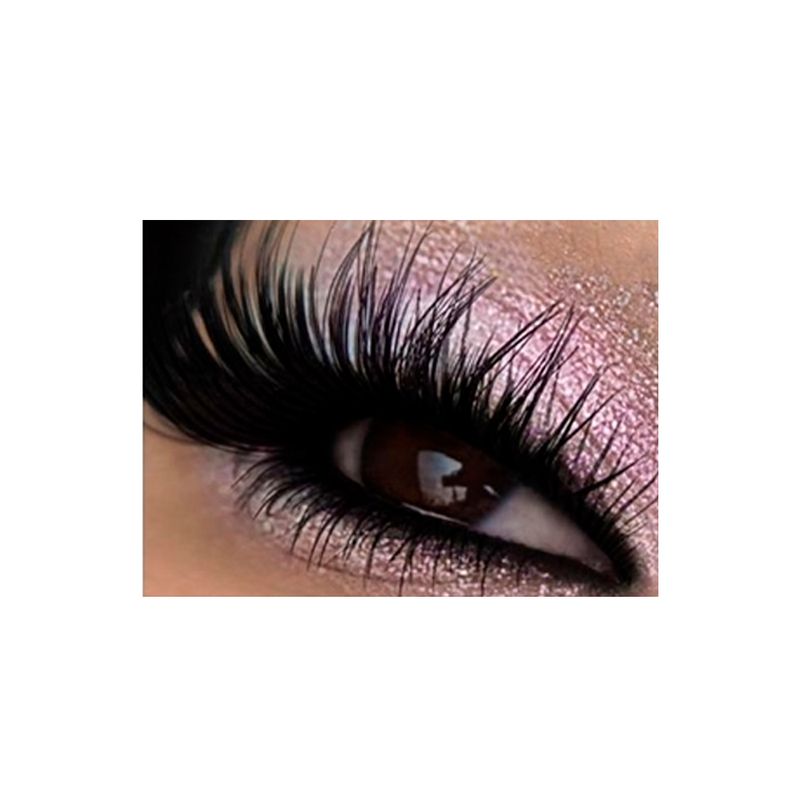 sombra-asa-borboleta-bitarra-pg-04-bitarra-beauty