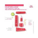 condicionador-wella-invigo-color-brilliance-1000ml