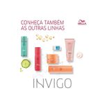 shampoo-wella-professionals-invigo-color-brilliance-1000ml