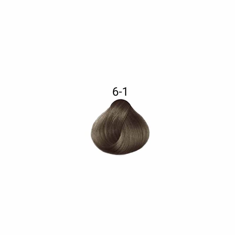 coloracao-lowell-color-6-1-louro-escuro-cinza-60g