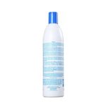 shampoo-alfaparf-rigen-tamarind-extract-hydrating-500ml