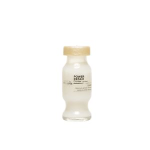 Ampola Capilar LOréal Absolut Repair Lipidium Power 10ml