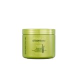 mascara-alfaparf-midollo-di-bamboo-restructuring-500ml