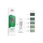 coloracao-wella-color-fresh-create-neverseen-green-60g