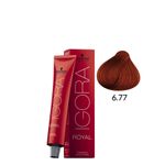 coloracao-igora-royal-6-88-louro-escuro-vermelho-extra-60g