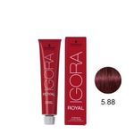coloracao-igora-royal-5-88-60g