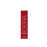 coloracao-igora-royal-5-00-60g