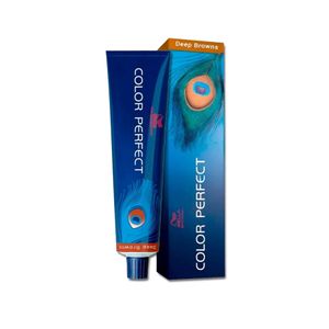 Coloração Color Perfect  66/71 60g