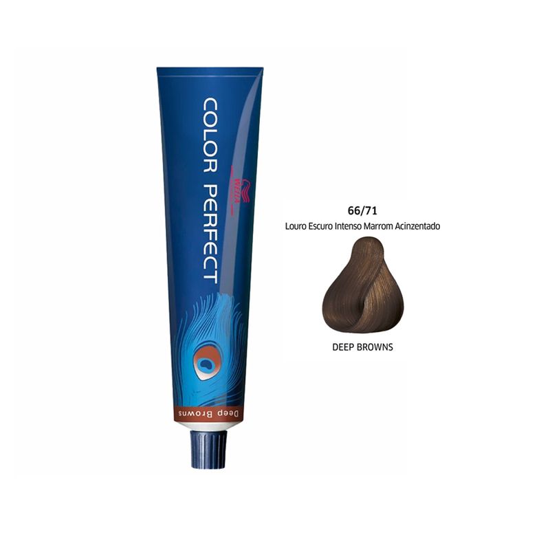 coloracao-color-perfect-66-71-60g