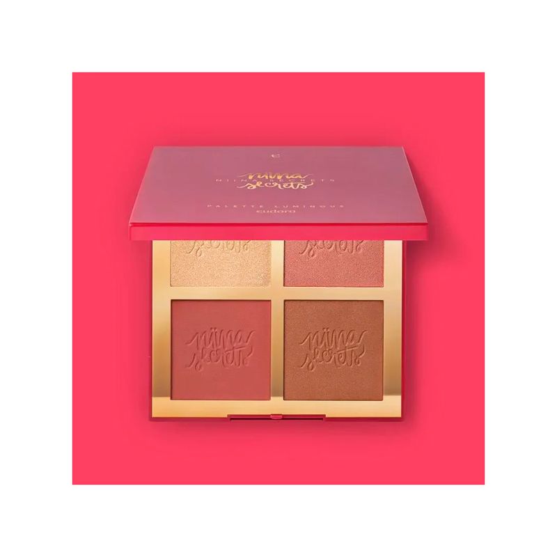 palette-multifuncional-niina-secrets-luminous-12g