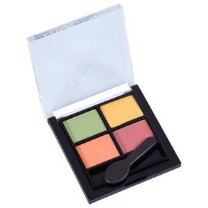 Catharine Hill Cover Camuflagem - Paleta de Corretivo 8g