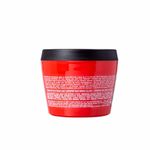 mascara-capilar-redken-frizz-dismiss-250ml