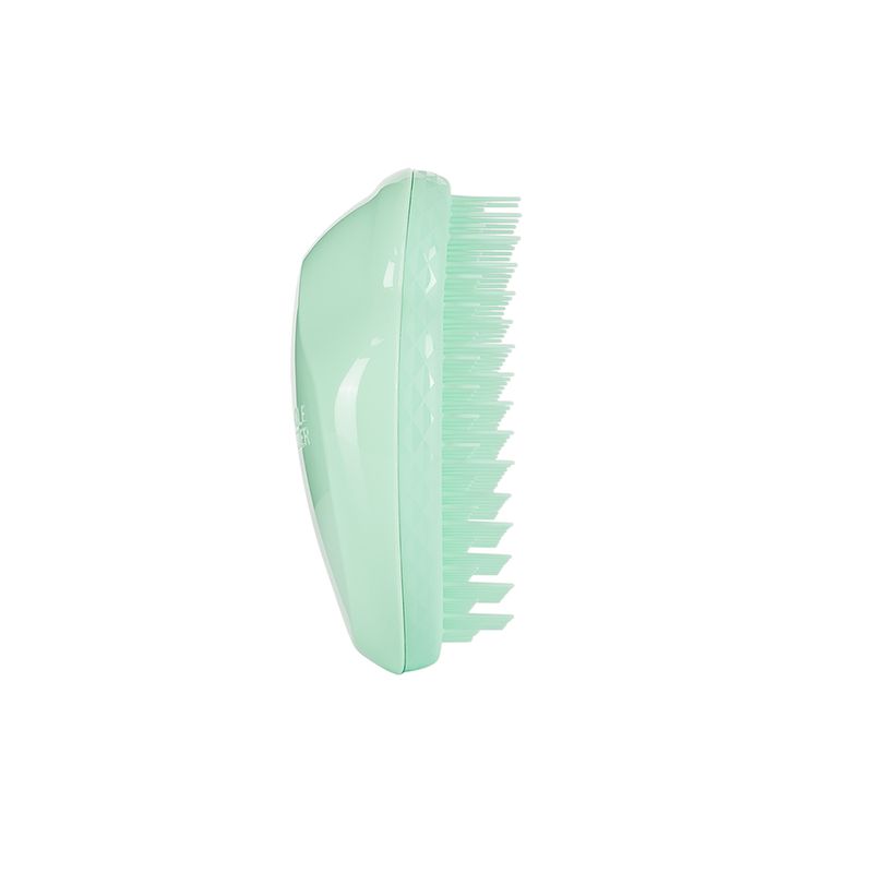 escova-tangle-teezer-small-the-original-aqua