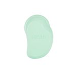 escova-tangle-teezer-small-the-original-aqua