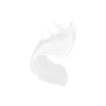 mascara-para-cilios-zanphy-tradicional-incolor-7-em-1