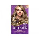 tint-koleston-1211