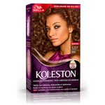 tint-koleston-537