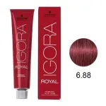tint-igora-royal-6-88-60ml-02-13-coloracao-permanente-schwarzkopf