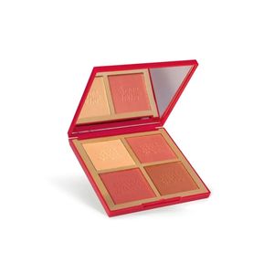 Palette Multifuncional Niina Secrets Luminous 12g